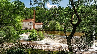 Parcours trail n°4 - Mortagne-sur-Sèvre