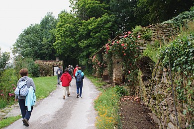 Randonnée pédestre : Les clairières de Sales