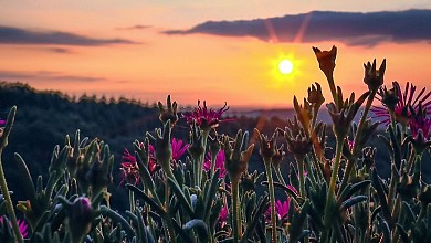 GR®46 - Les Bastides albigeoises