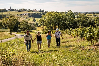 Les Hauts de Gaillac