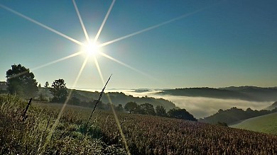 Lou camin dels castanhals