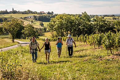 Sentier Vignoble et Châteaux