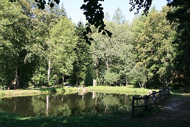 Circuit n°7 VTT - Secteur Lacaune les Bains