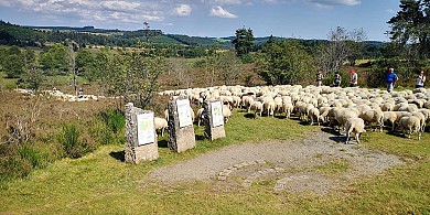 Tourbière du Longeyroux : sentier d'interpréta ...