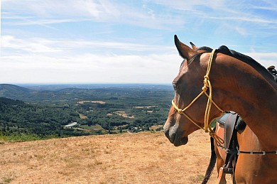 Itinéraire équestre : le massif des Monédières ...