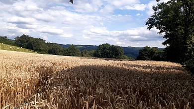 Randonnée du Camin Traversut