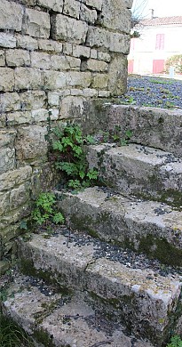 Circuit Les Trois Villages PR 4 - Doeuil sur l ...