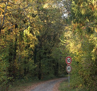 Circuit Bois Giffard - PR 12 - Saleignes