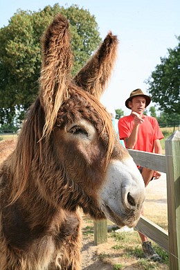 Circuit Le Baudet du Poitou - PR 8 - Dampierre ...