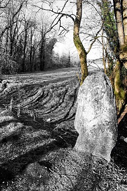 La Grande Borne PR 13 - Chives