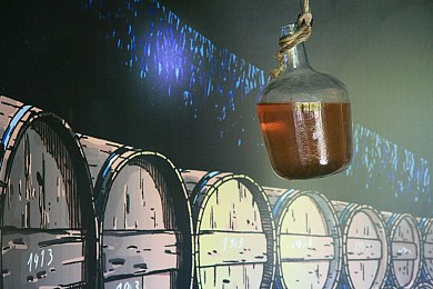 Circuit bois et vignes - PR 20 - Macqueville