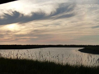 Sentier des Polders - RNN Moëze Oléron