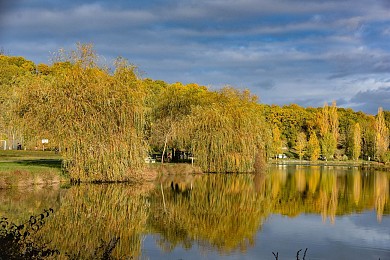 PR1 Parisot : Chemin du lac
