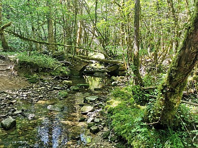 PR1 Verfeil-sur-Seye : Chemin de la Baye