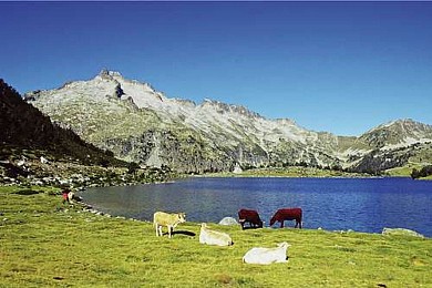 Les lacs du Néouvielle