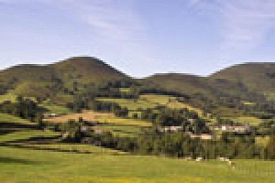 HELETTE - ST MARTIN D'ARBEROUE (Equestre)