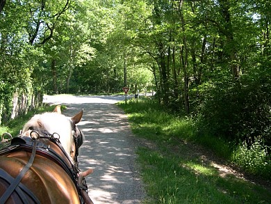Tour du Tarn à cheval : Dourgne / Serviès