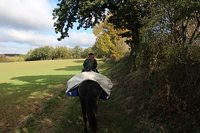 Tour du Tarn à cheval : Serviès / Damiatte