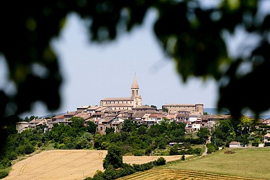 Tour du Tarn à cheval : variante Salvagnac