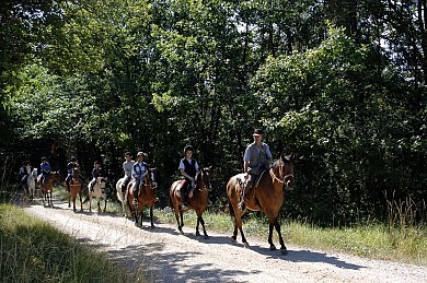 Tour du Tarn à cheval : Puycelsi / Bruniquel