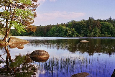 Tour du Tarn à cheval : Montredon-Labessonnié  ...