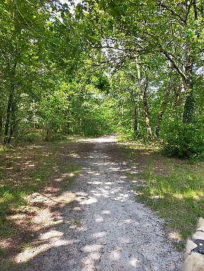 Balade à roulettes : Corbiac, forêt de Saint-M ...