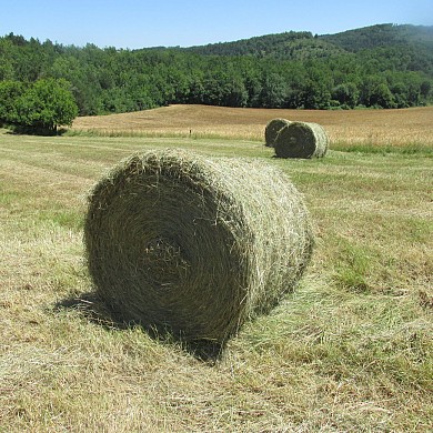 Pic d'Estelle & Saint Julien