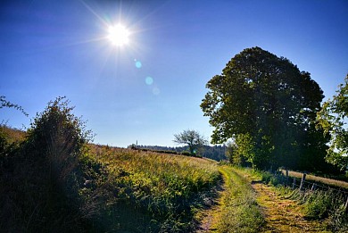 Le Chemin des Dames à Bournazel