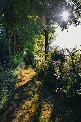 Le chemin de la fontaine à Bournazel