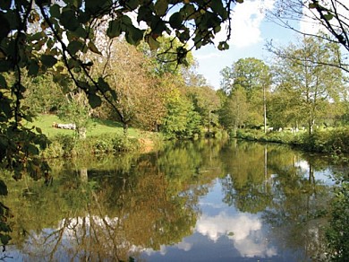 LA DORINIERE - Rocheservière
