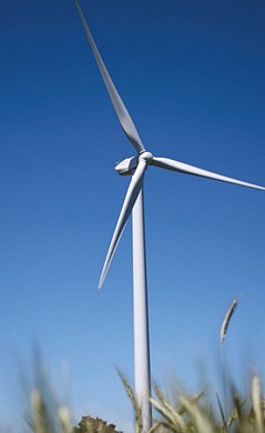 LES LANDES - Saint Philbert de Bouaine