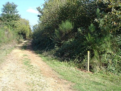 Autour de la Fraise à Cendrieux