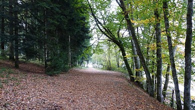 De feuilles en aiguilles (variante de 11 km)