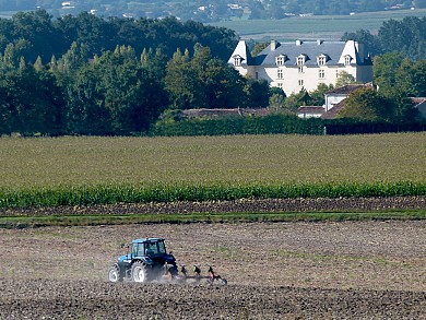 Circuit VTC N°2 - "Prunelas - Salignac"