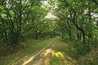 APREMONT / Les Trois Châteaux*