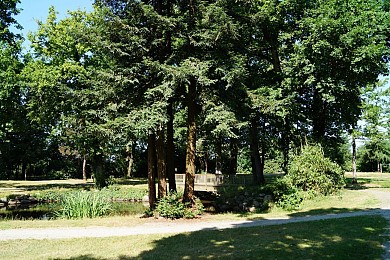 BELLEVIGNY (Belleville-sur-Vie) / sentier de " ...