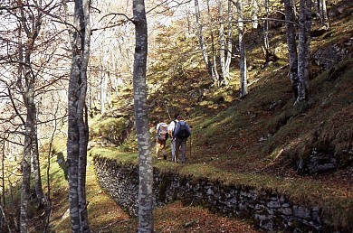 Sentier découverte Decauville