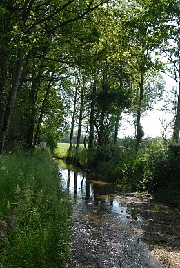 AIZENAY / La Bercerie *