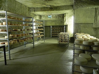 Visite de la bergerie et de la carrière