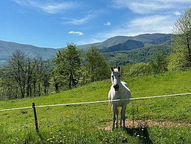 SENTIER EQUESTRE : ARBAS - CHEIN-DESSUS - ARBAS