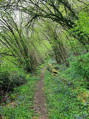 Sentier du Père de Montfort - Sigournais