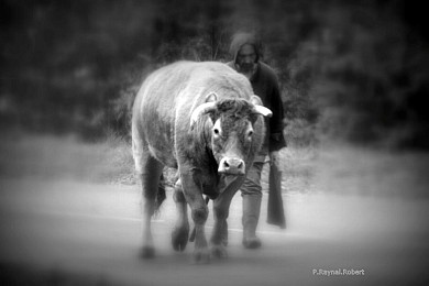 Balade autour de Stors