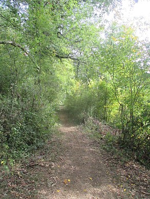 Sentier de découverte de la forêt