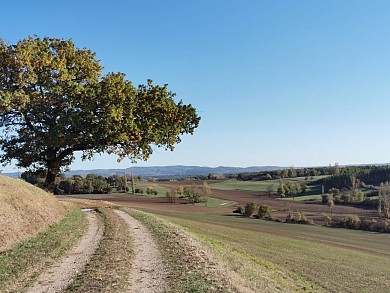 PR1 Caussade - Les vallons de la Bénèche