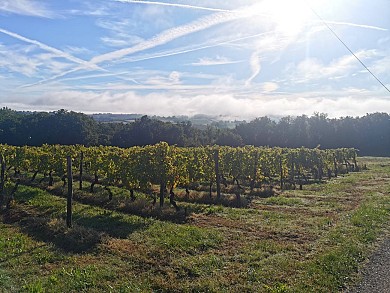 PR2 Montpezat-de-Quercy - Les coteaux du Quercy