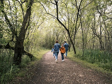 Circuit randonnée - lac de Frace