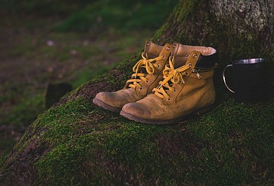 Circuit randonnée - la chenaie de Rochefort