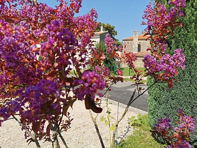 Circuit randonnée - Le Vieux Fief
