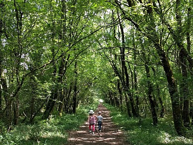 Circuit randonnée - Tumulus de Champ-Châlon