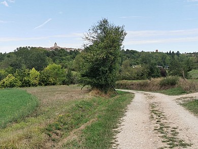 PR1 Puylaroque - Boulet, Vallée de la Lère